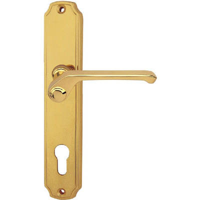 Brass Handle with Plate